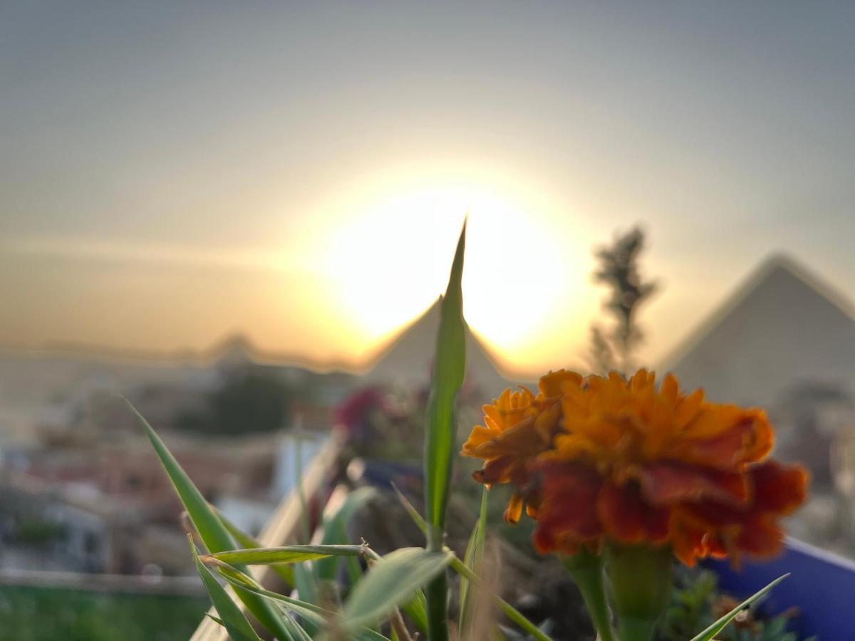 Pyramids Top Success Result Kafret el-Gabal Exteriér fotografie