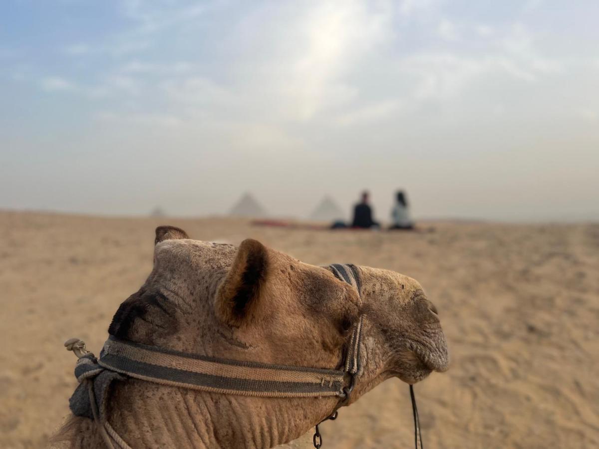 Pyramids Top Success Result Kafret el-Gabal Exteriér fotografie